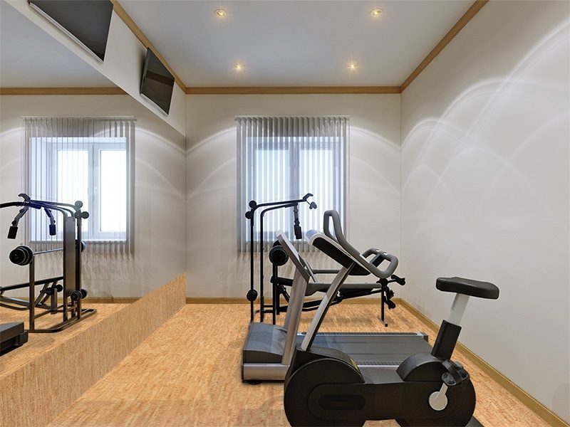 Silver Birch Cork Floor Home Gym Interior Fitness Equipment Large 
